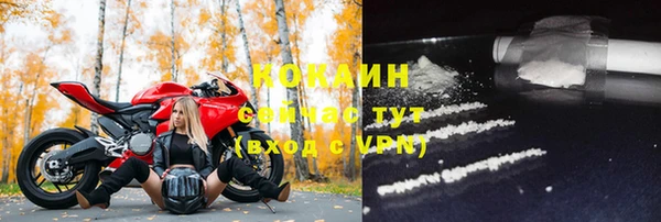 дживик Елизово