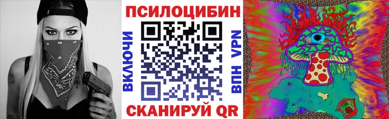 Псилоцибиновые грибы Psilocybe Звенигород