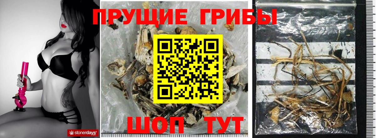 Галлюциногенные грибы GOLDEN TEACHER  Псилоцибиновые грибы Psilocybe  магазин продажи   Вход с VPN  Звенигород 