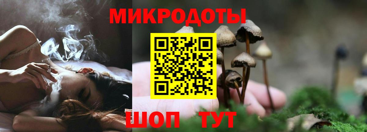Галлюциногенные грибы ЛСД Звенигород