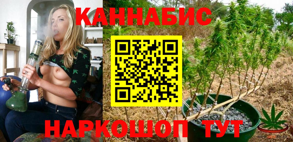 Звенигород  Каннабис семена  Конопля MAZAR  Вход с VPN  Бошки Шишки Bruce Banner 